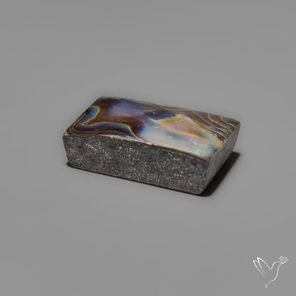 Abalone Shell Cabochon