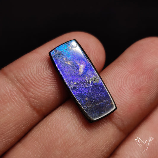 Rare Purple Ammolite Cabochon