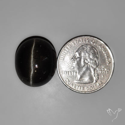 Rare Sulemani Cats eye Cabochon High Dome