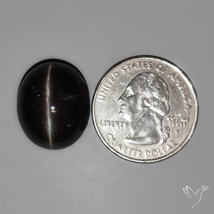 Rare Sulemani Cats eye Cabochon High Dome