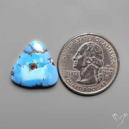 Golden Hill Turquoise Rare Top Grade Cabochon