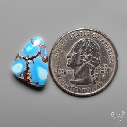 Golden Hill Turquoise Rare Top Grade Cabochon