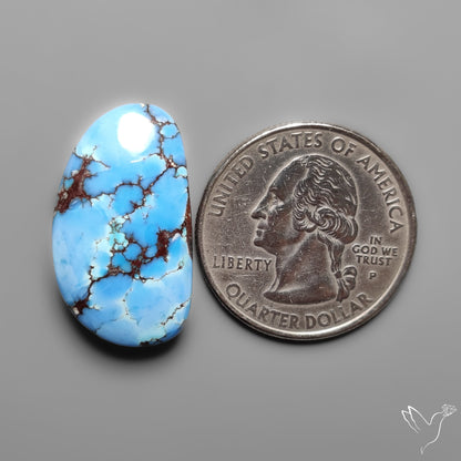 Golden Hill Turquoise Rare Top Grade Cabochon