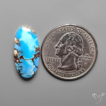 Golden Hill Turquoise Rare Top Grade Cabochon