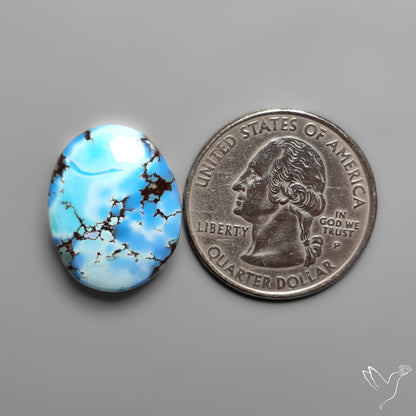 Golden Hill Turquoise Rare Top Grade Cabochon