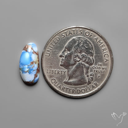 Golden Hill Turquoise Rare Top Grade Cabochon