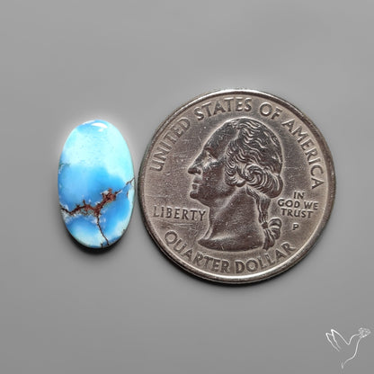 Golden Hill Turquoise Rare Top Grade Cabochon