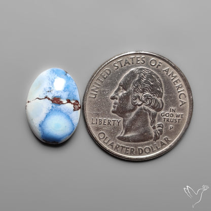 Golden Hill Turquoise Rare Top Grade Cabochon