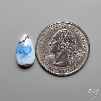 Golden Hill Turquoise Rare Top Grade Cabochon
