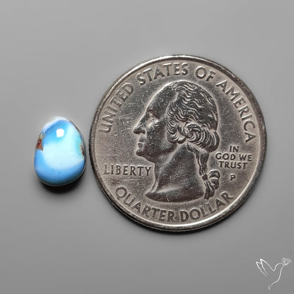 Golden Hill Turquoise Rare Top Grade Cabochon