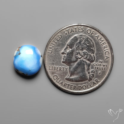 Golden Hill Turquoise Rare Top Grade Cabochon