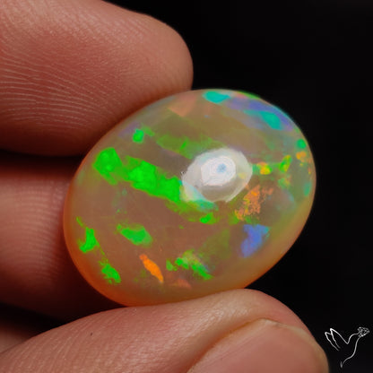 Rare Large Ethiopian Welo Opal Cabochon