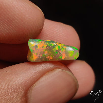 Ethiopian Welo Opal Raw Freeform Polished
