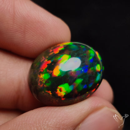 Ethiopian Black Opal Cabochon