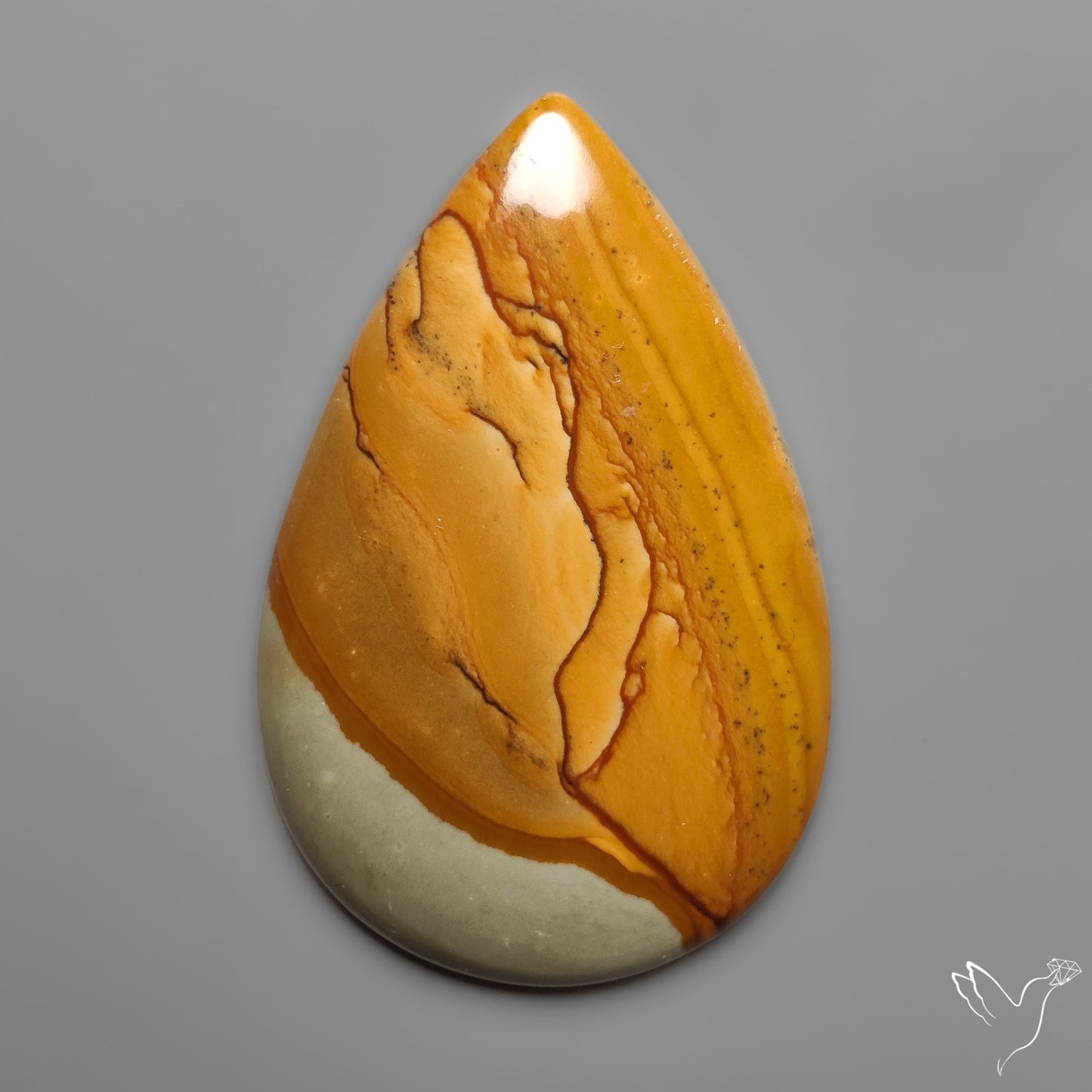 Owyhee Wild Horse Picture Jasper