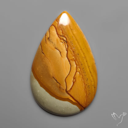 Owyhee Wild Horse Picture Jasper