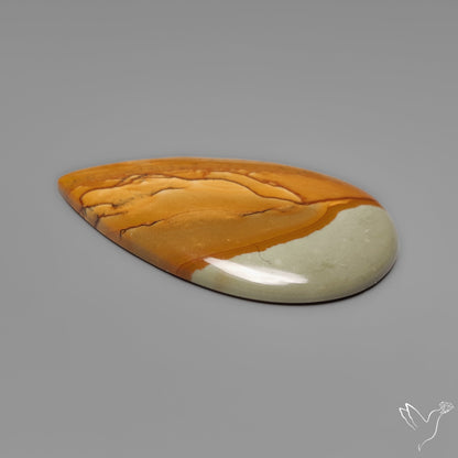 Owyhee Wild Horse Picture Jasper