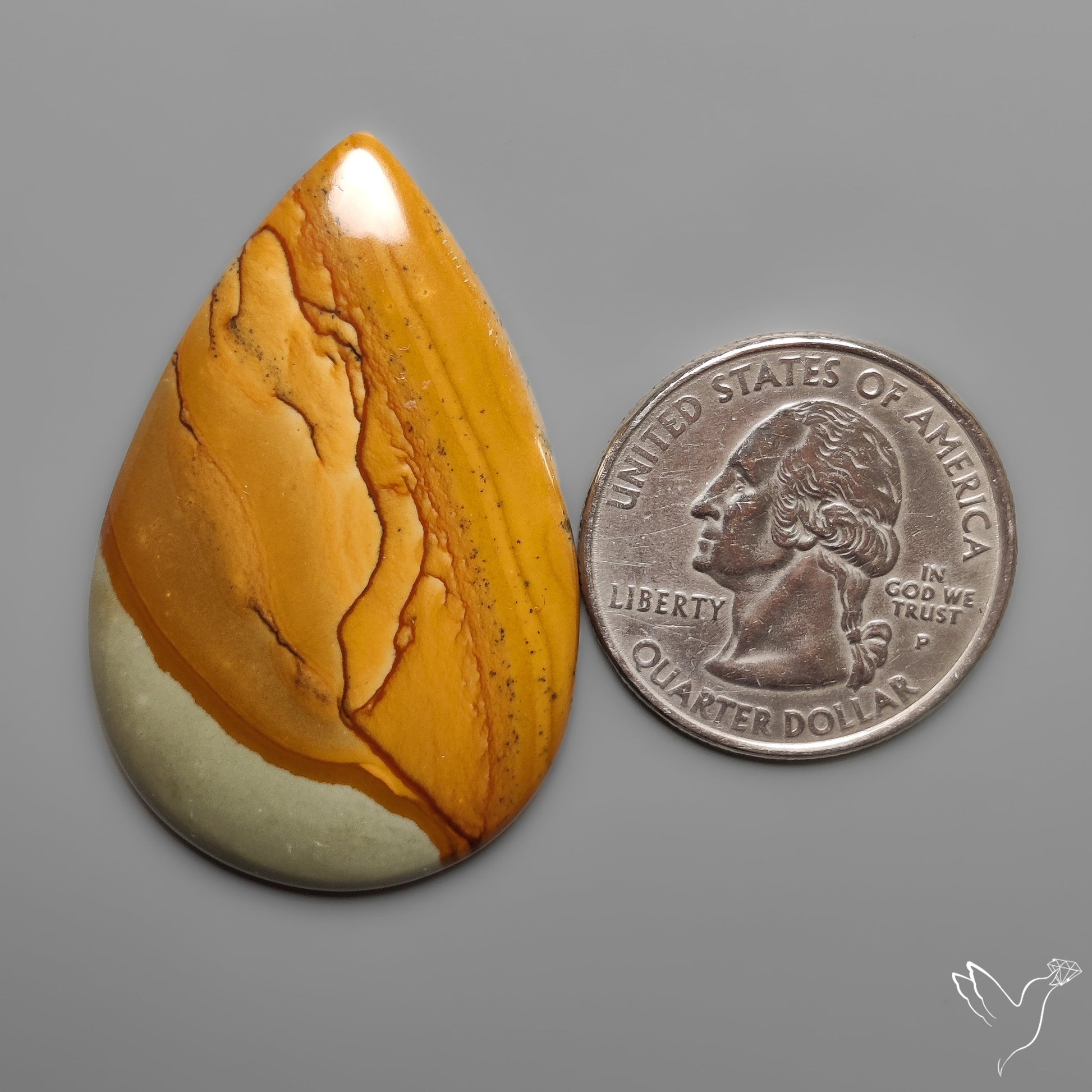 Owyhee Wild Horse Picture Jasper