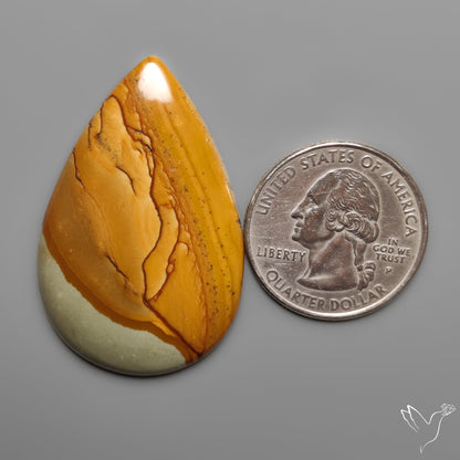 Owyhee Wild Horse Picture Jasper