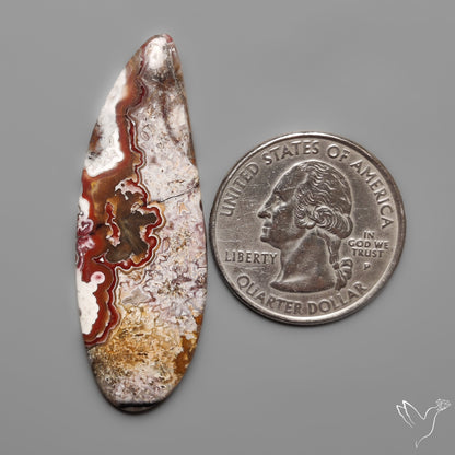 Laguna Lace Agate