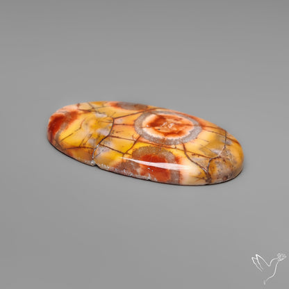 Bird Eye Jasper