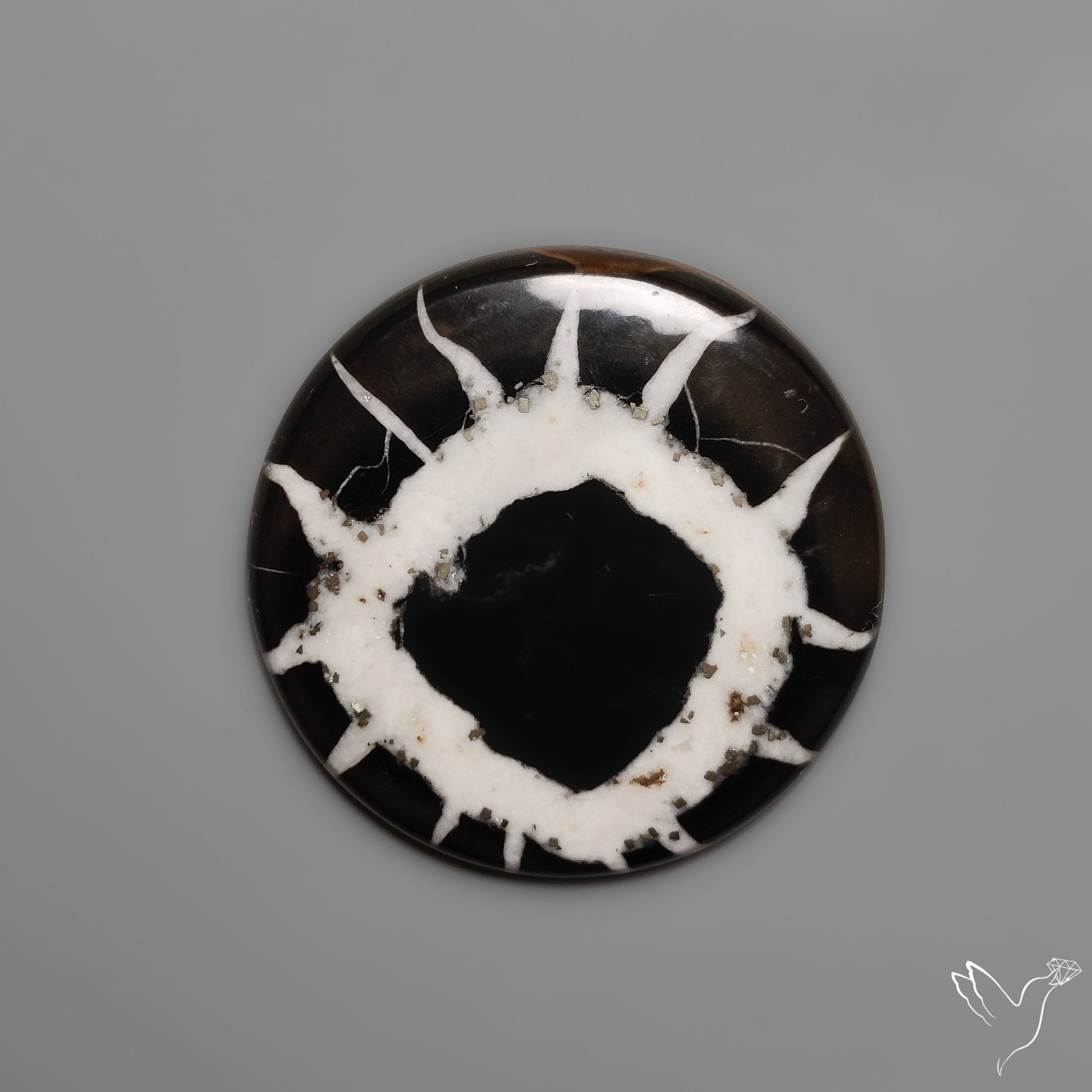 Black Septarian Fossil