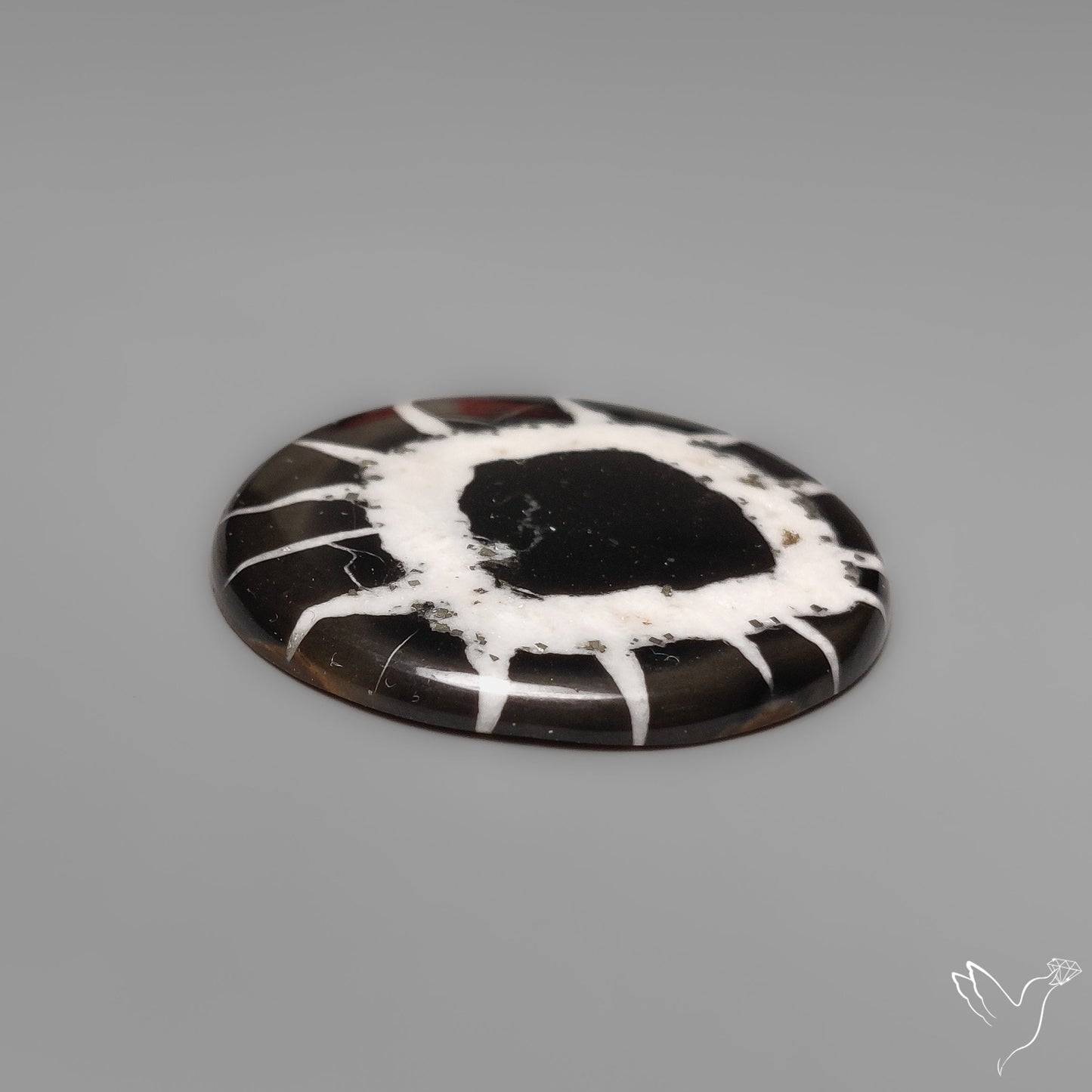 Black Septarian Fossil