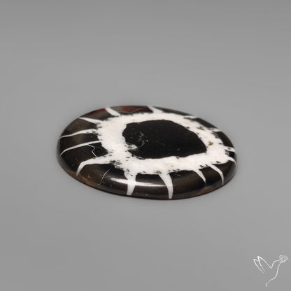 Black Septarian Fossil