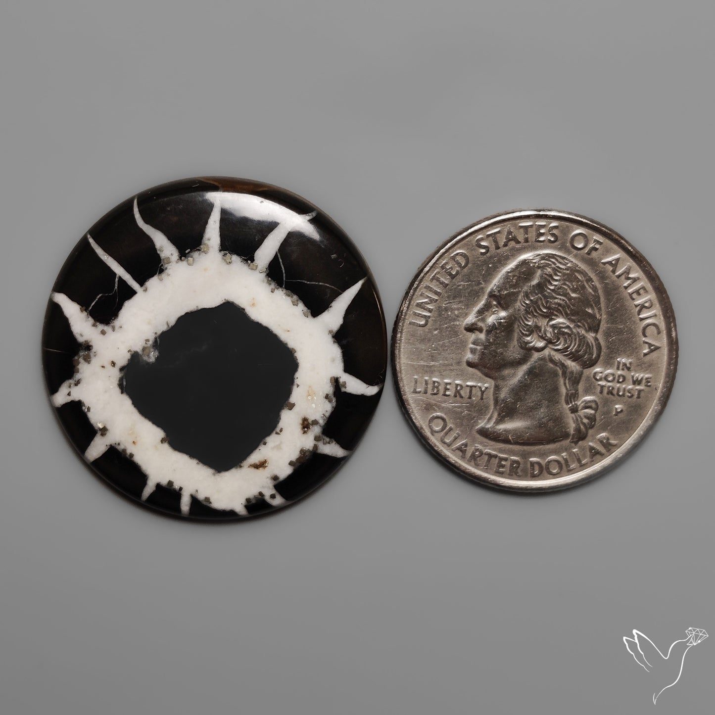 Black Septarian Fossil