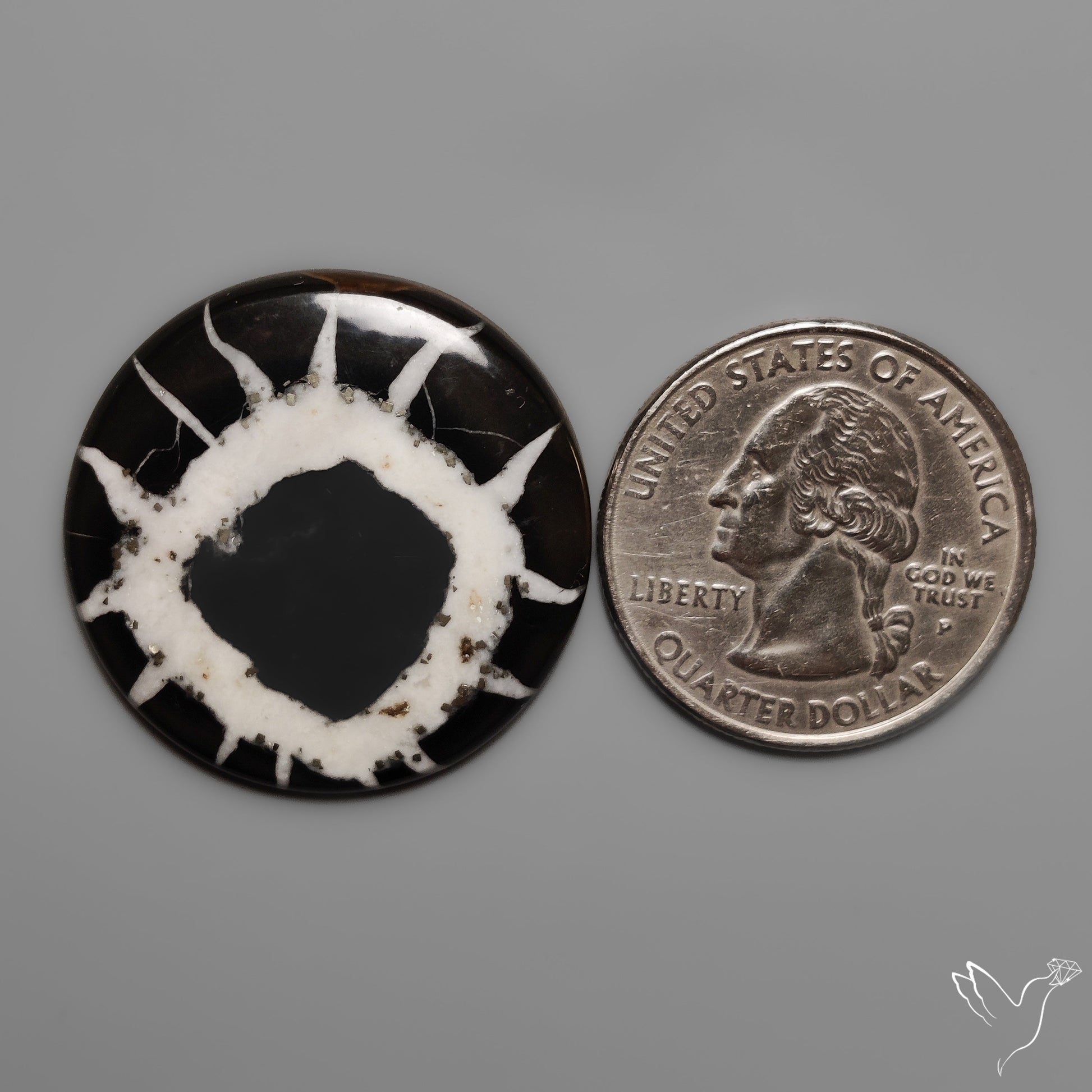 Black Septarian Fossil