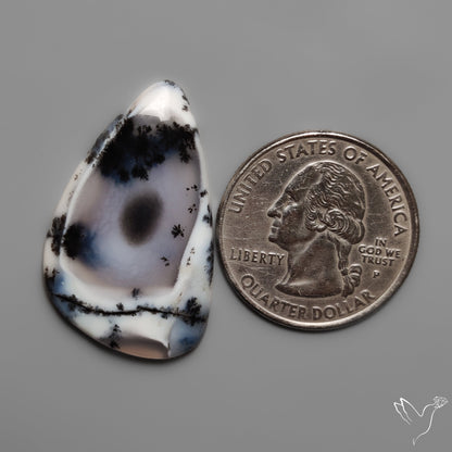 Dendritic Agate