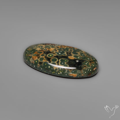Orbicular Ocean Jasper