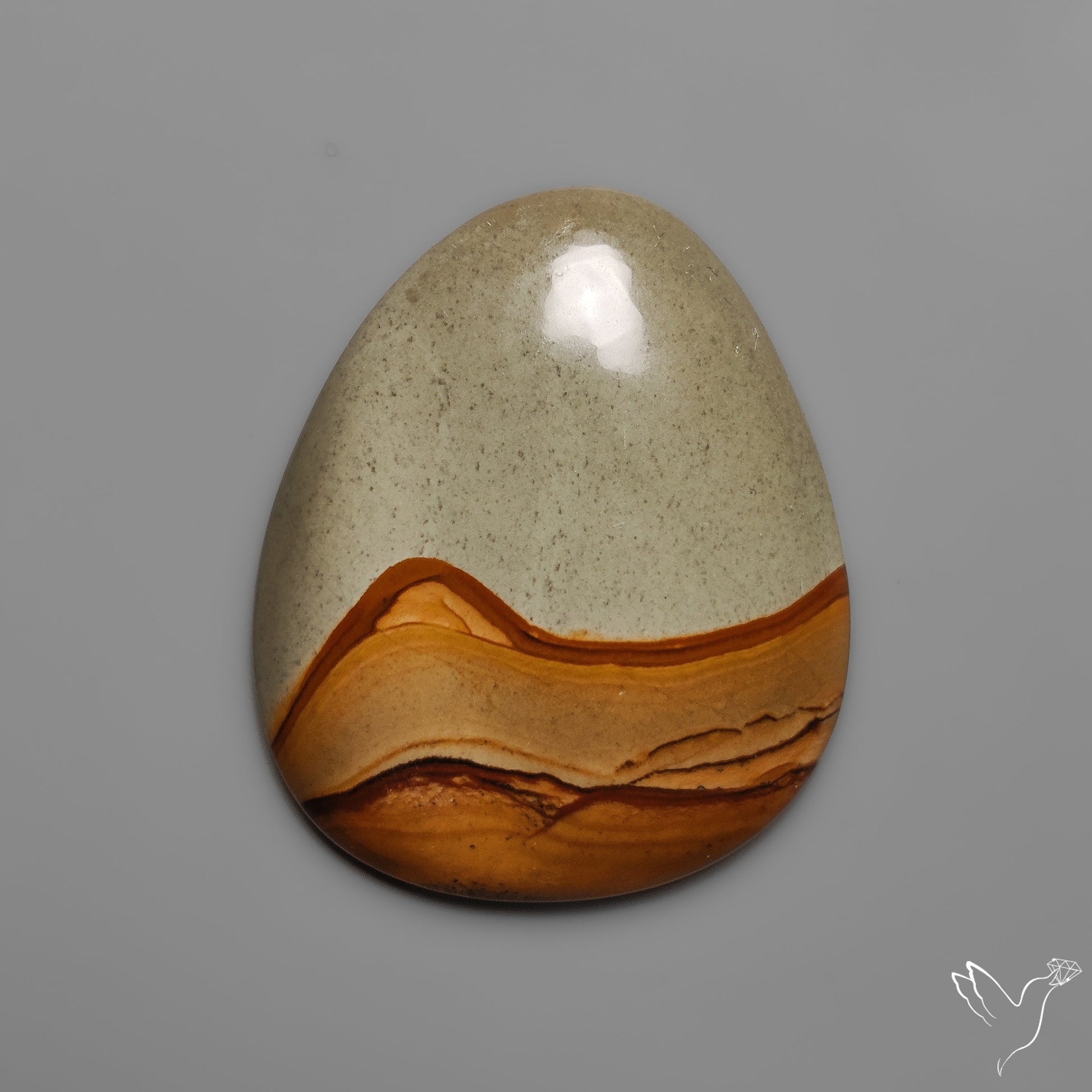 Owyhee Wild Horse Picture Jasper