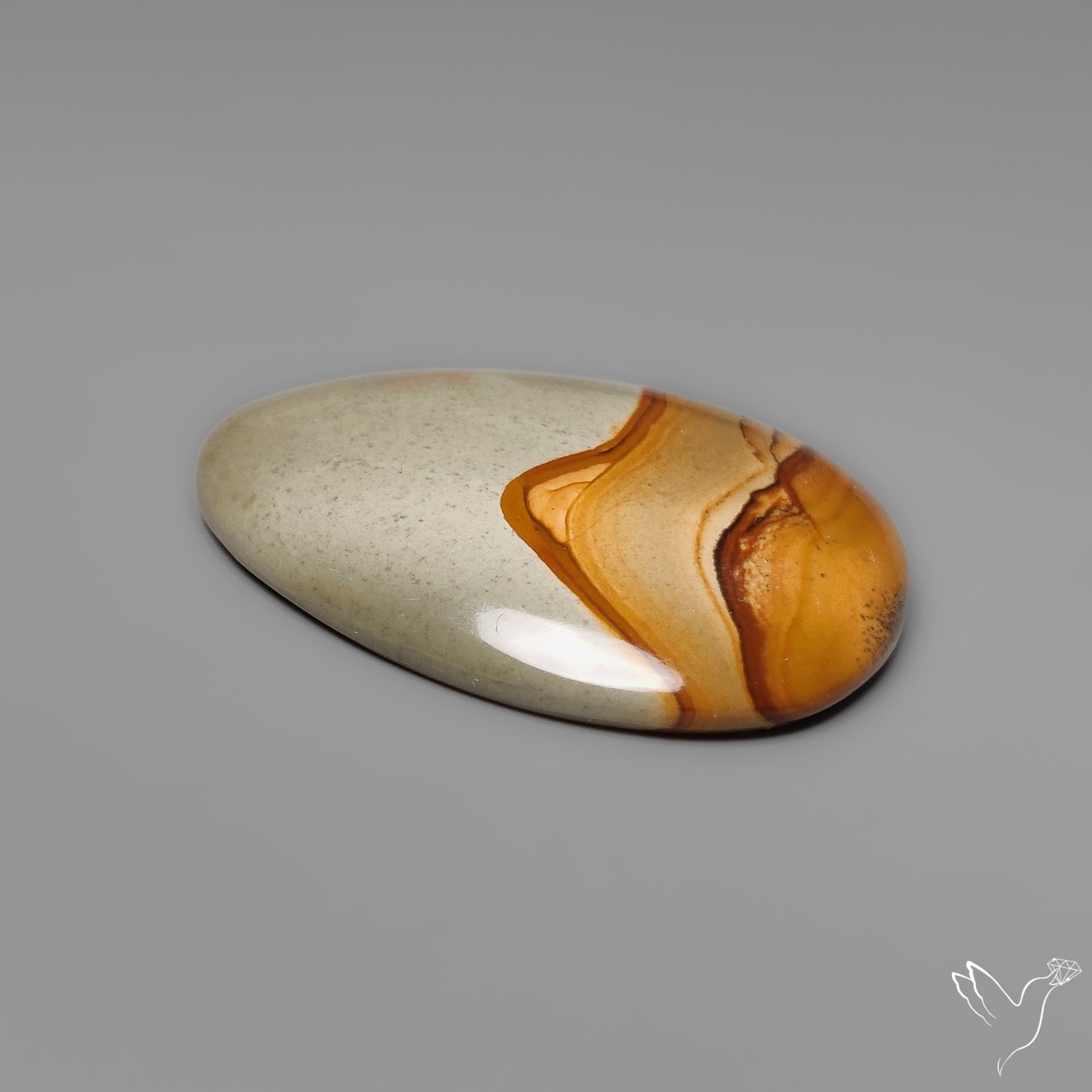 Owyhee Wild Horse Picture Jasper