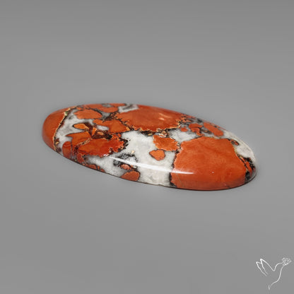 Red Wild Horse Jasper