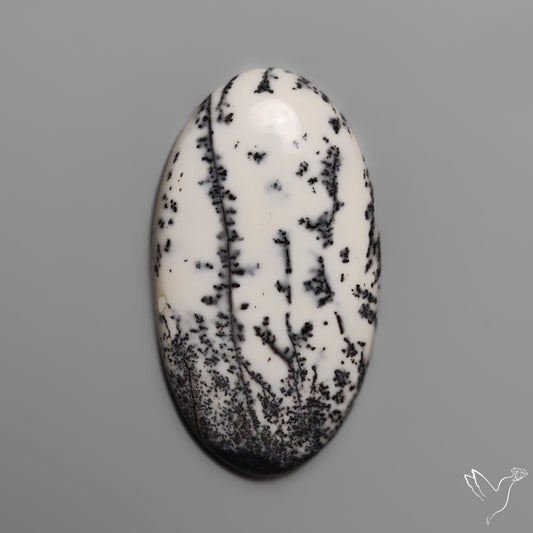 Dendritic Opal