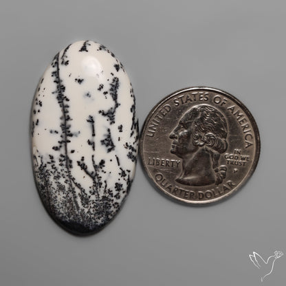 Dendritic Opal