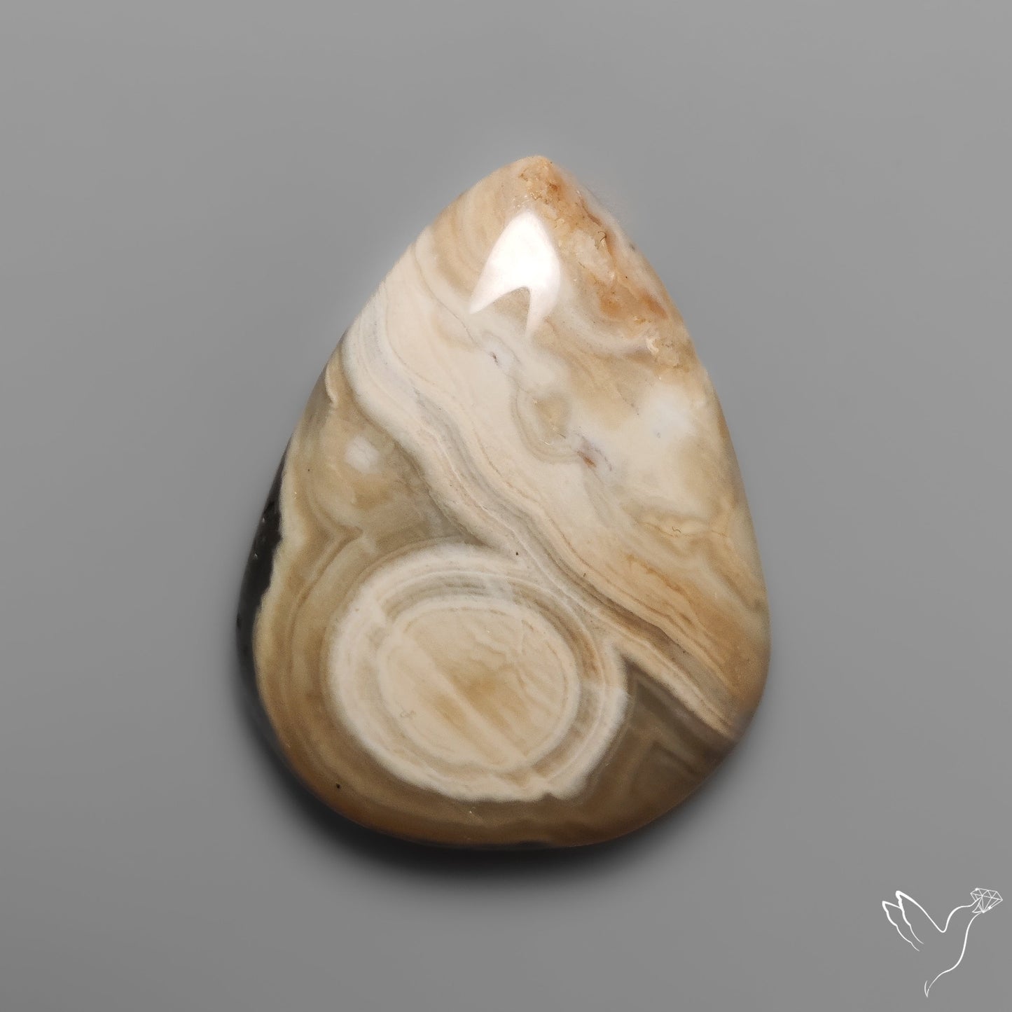 Orbicular Ocean Jasper