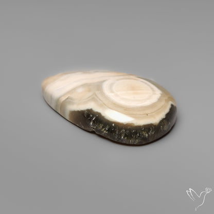 Orbicular Ocean Jasper