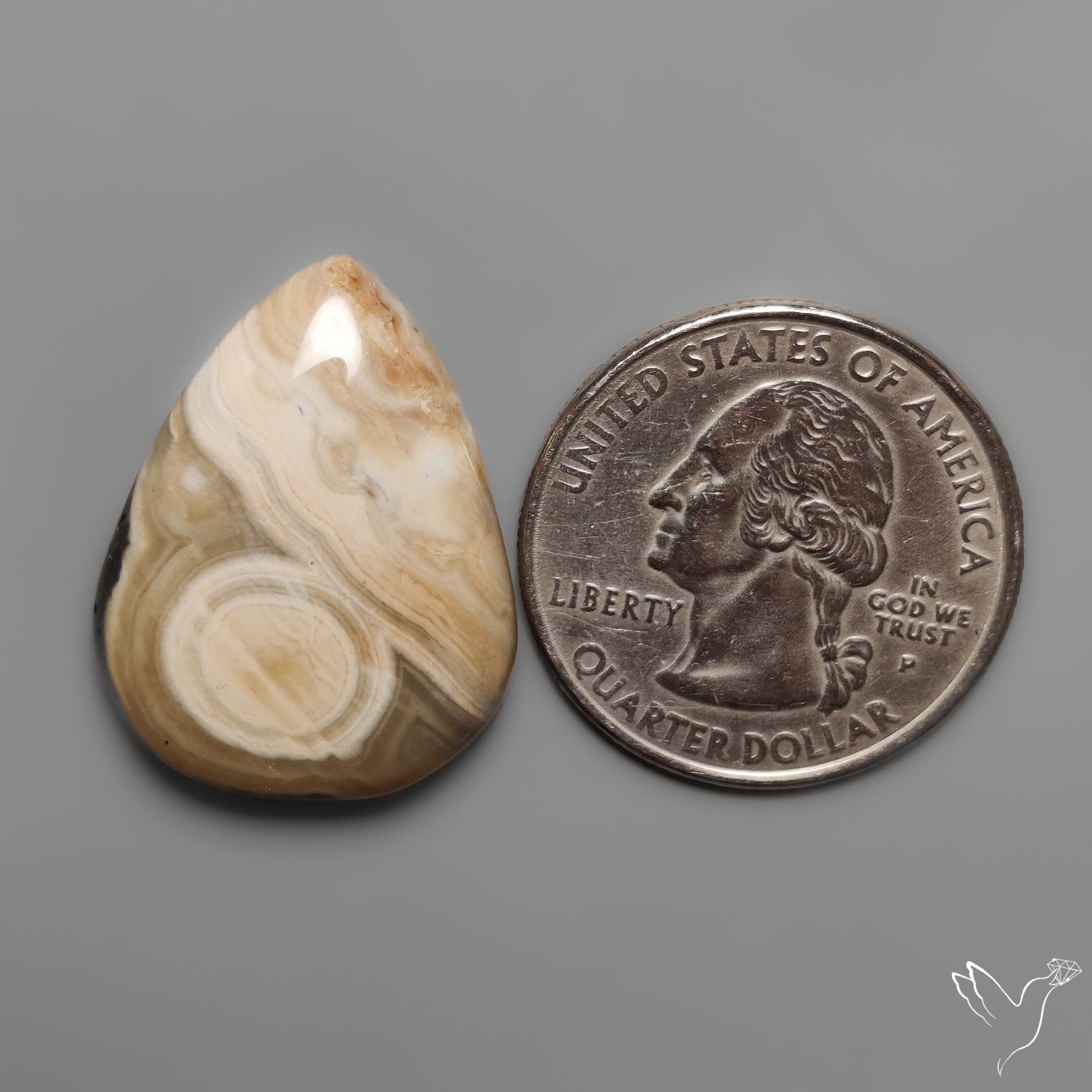Orbicular Ocean Jasper