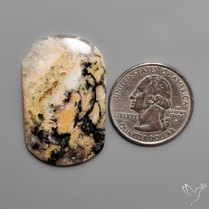 Australian Dendritic Agate