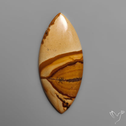Owyhee Wild Horse Picture Jasper