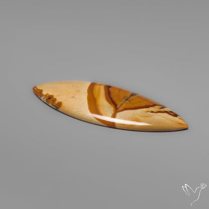 Owyhee Wild Horse Picture Jasper