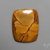 Owyhee Wild Horse Picture Jasper