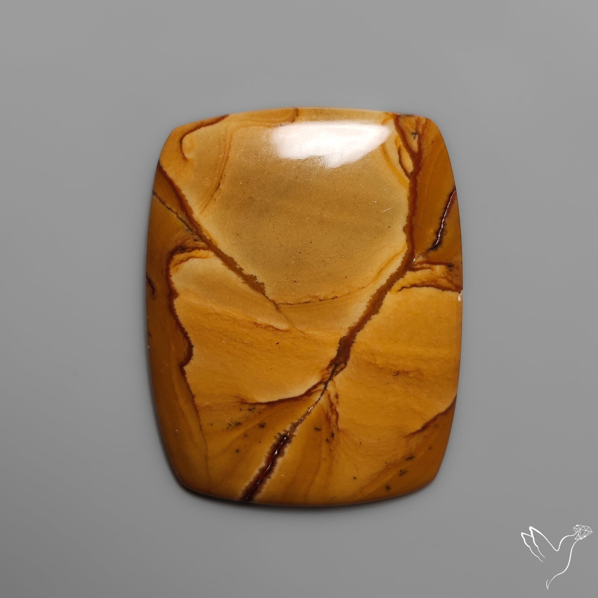 Owyhee Wild Horse Picture Jasper