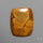 Owyhee Wild Horse Picture Jasper