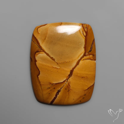 Owyhee Wild Horse Picture Jasper