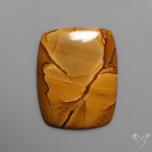 Owyhee Wild Horse Picture Jasper