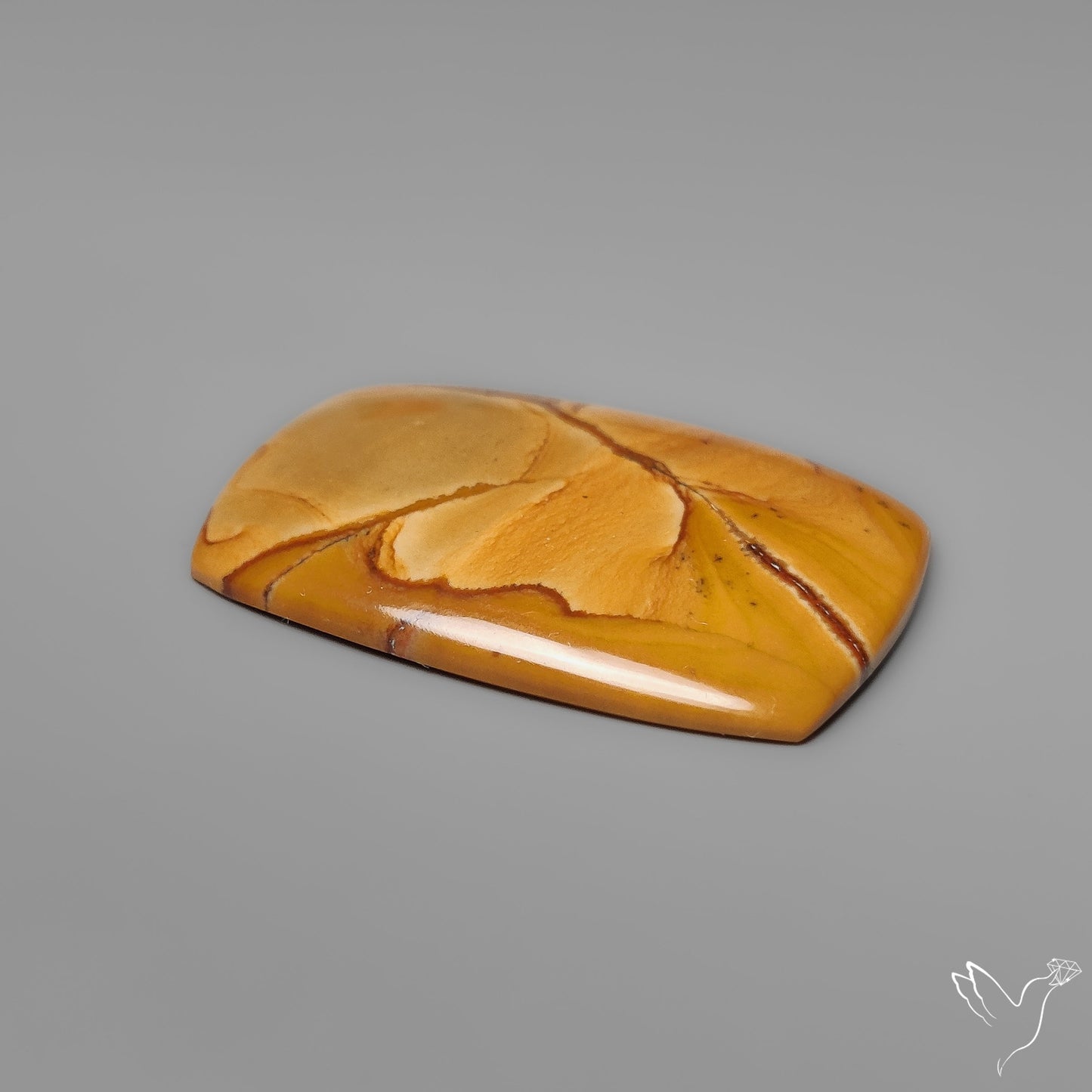 Owyhee Wild Horse Picture Jasper