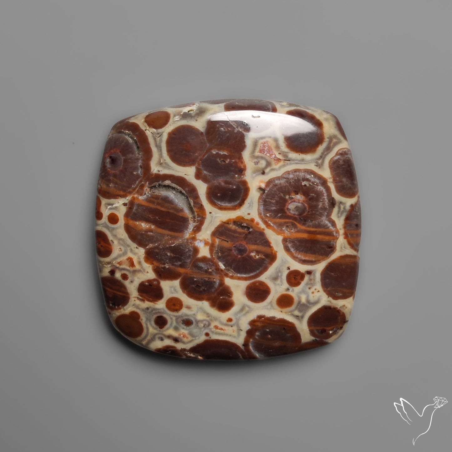 Mexican Asteroid Jasper